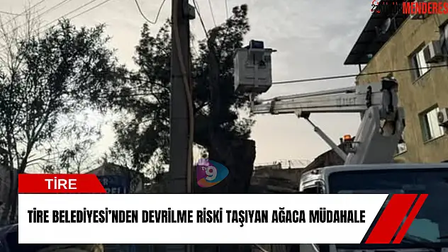 Tire Belediyesi'nden devrilme riski taşıyan ağaca müdahale
