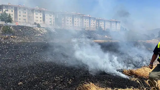 Tire Belediyesi'nden TOKİ Mahallesi'ndeki Yangına Hızlı Müdahale