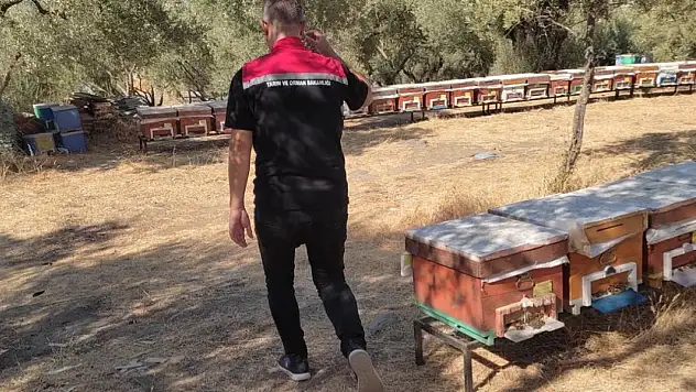 Tire'de Arılı Kovanlara Kayıt Çalışması