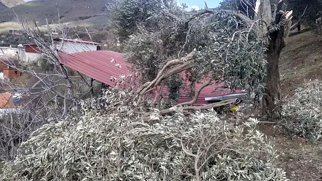 TİRE'DE FIRTINA EVİN ÇATISINI UÇURDU