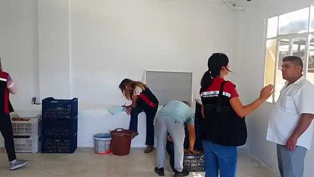 Tire'de İncir Depolarında Denetim: Aflatoksin ve Okratoksin Riski Kontrol Ediliyor