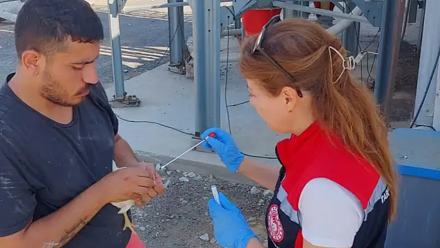 Tire'de Kanatlı Hayvan ve Arıcılık Denetimleri Sürüyor