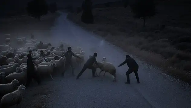 Tire'de Koyun Tartışması Kanlı Bitti, 2 Kişi Yaralandı