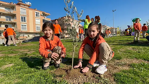 Tire'de Öğrenciler, Zeytin Fidanlarını Toprakla Buluşturdu