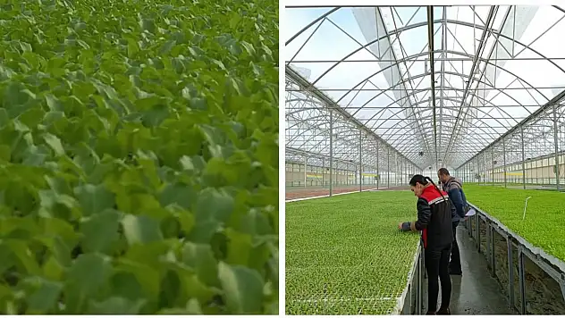 Tire'de Tarımsal Denetimler Devam Ediyor