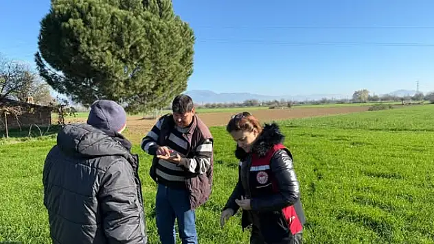 TİRE'DE TARLA ZARARLILARI YERİNDE İNCELENDİ