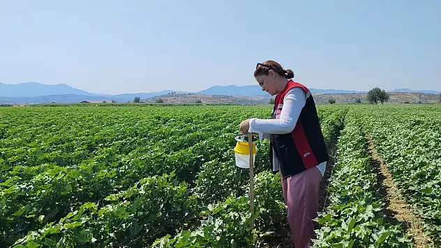 Tire İlçe Tarım Müdürlüğü'nden Üretim Alanlarında Yoğun Denetim