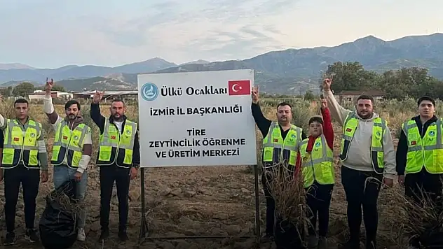 Tire Ülkü Ocakları'ndan Üretim Odaklı Eğitim Hamlesi: Zeytin Ağaçları İlk Meyvesini Verdi