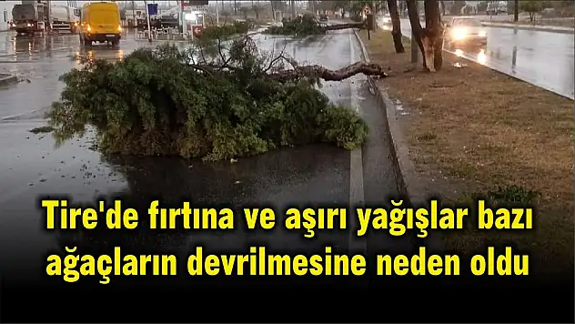 Tire'de fırtına ve aşırı yağışlar bazı ağaçların devrilmesine neden oldu