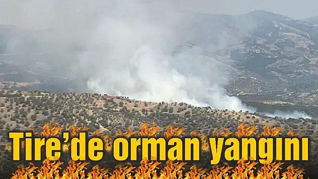 Tire'de orman yangını