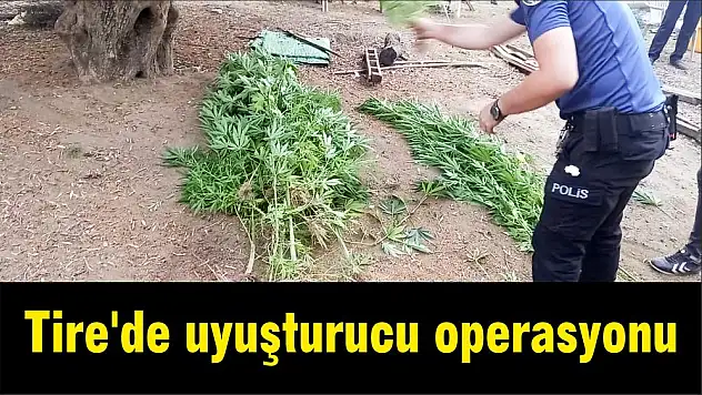 Tire'de uyuşturucu operasyonu