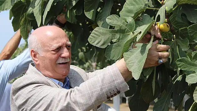 'TMO piyasaya girmeli'