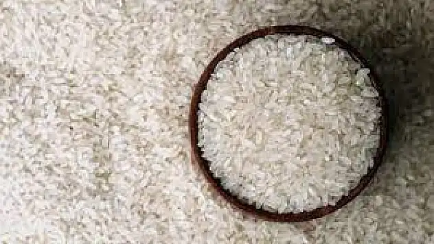 Türkiye’nin çeltik ambarında ‘beyaz altın’ mesaisi başladı