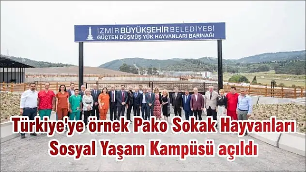 Türkiye'ye örnek Pako Sokak Hayvanları Sosyal Yaşam Kampüsü açıldı