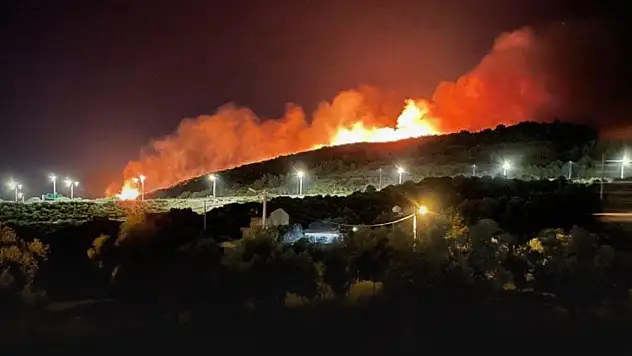 Urla'daki Orman Yangını Kontrol Altına Alındı