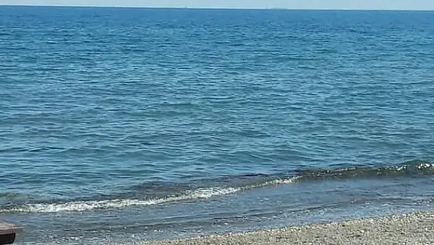 Urla’daki Zeytinalanı Plajı suyu, hijyen standartlarına uymuyor