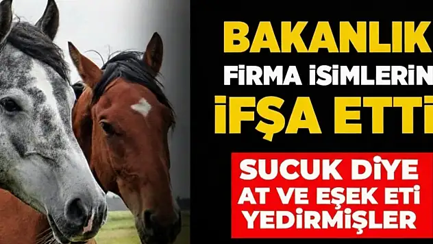 VATANDAŞA AT ETİ YEDİRMİŞLER! BAKANLIK MARKAYI VE ÜRETİLDİĞİ İLİ AÇIKLADI