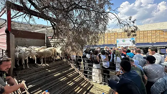Yangın Bölgesine Destek Eli: Üreticiye Hayvan ve Kovan Desteği