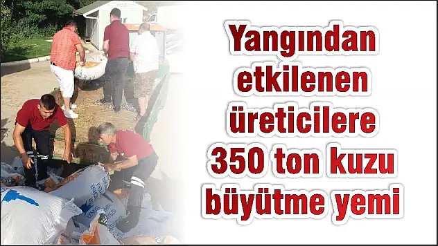 Yangından etkilenen üreticilere 350 ton kuzu büyütme yemi