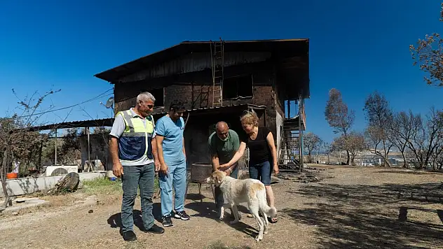 Yangından Kurtarılan 'Kaptan'a Sıcak Yuva