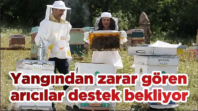 Yangından zarar gören arıcılar destek bekliyor