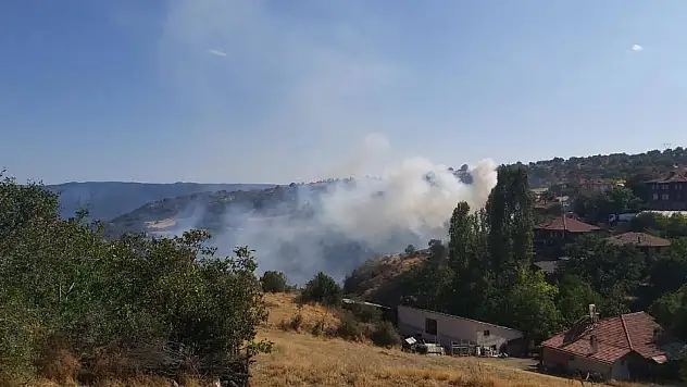 Yangınlarda sabotaj şüphesi