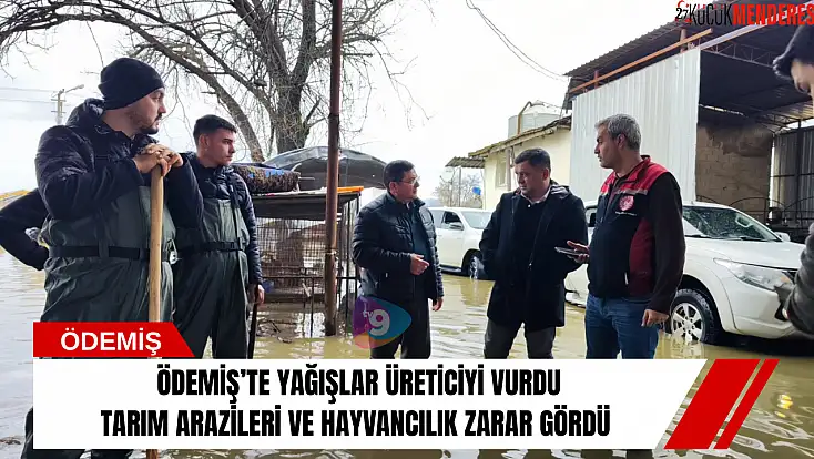 Ödemiş’te yağışlar üreticiyi vurdu: Tarım arazileri ve hayvancılık zarar gördü