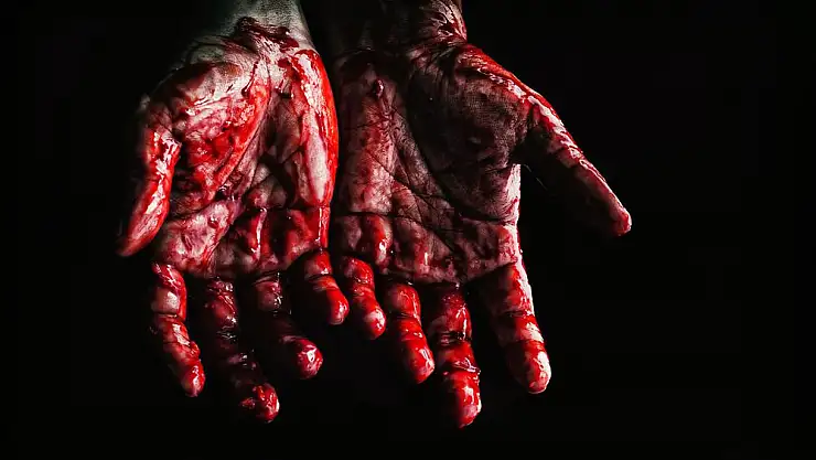 20 yaşındaki genç, kendi ailesini katletti