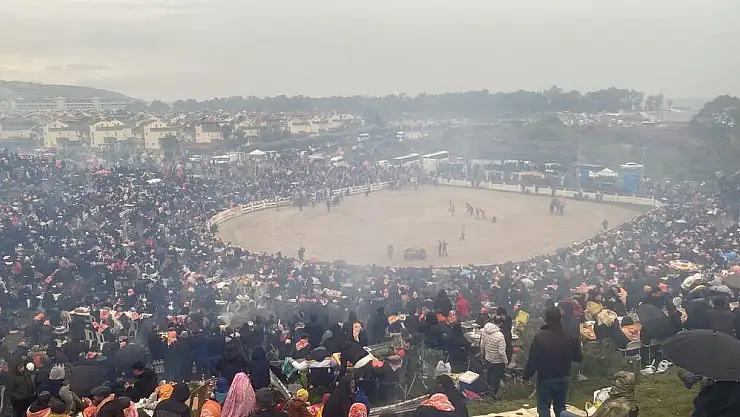 42. ULUSLARARASI EFES SELÇUK DEVE GÜREŞLERİ FESTİVALİ YAPILDI