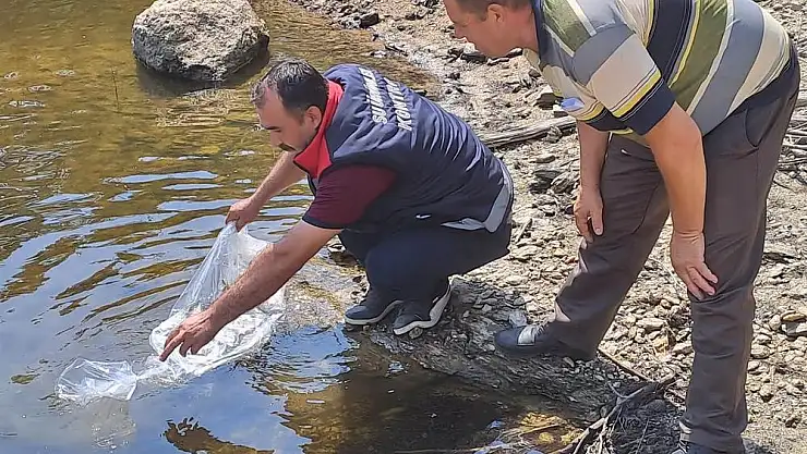 934 bin sazan suyla buluştu