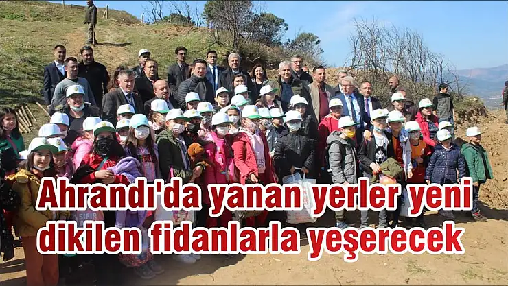 Ahrandı'da yanan yerler yeni dikilen fidanlarla yeşerecek