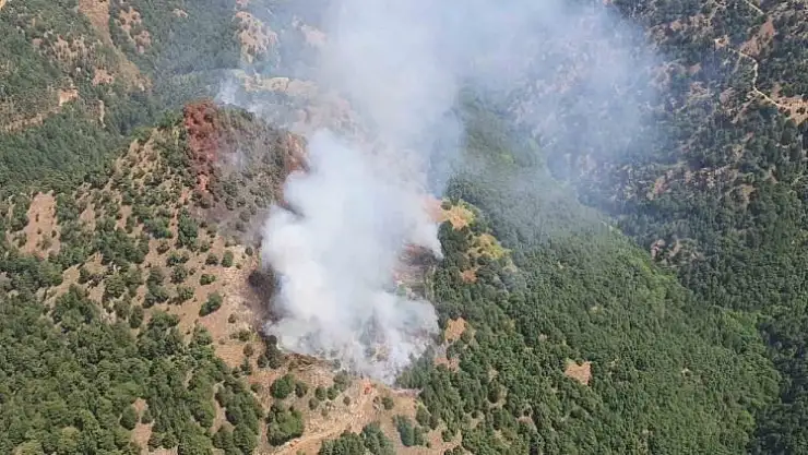 Aliağa yine yanıyor! bu gün çıkan yangın kontrol altına alındı
