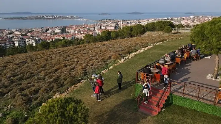 Ayvalık’ın turistik tepesi cayır cayır yandı