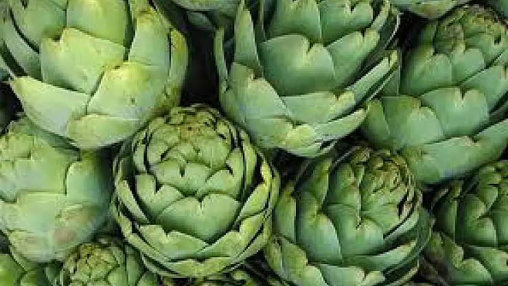 Bahar aylarında Ege’de tarım