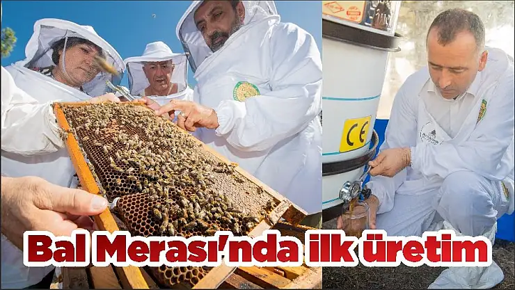 Bal Merası'nda ilk üretim