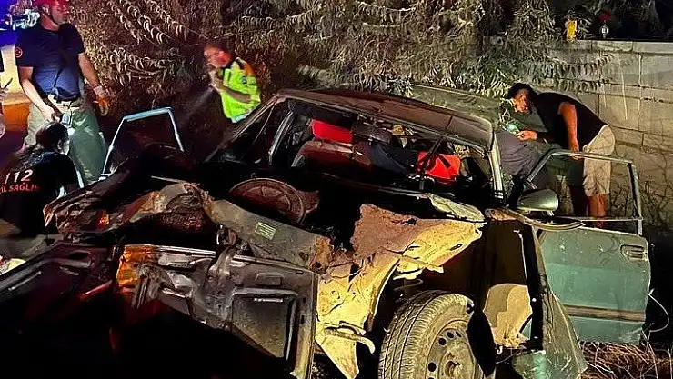 Balıkesir’de otomobil yol kenarındaki ağaçlara çarptı: 6 yaralı