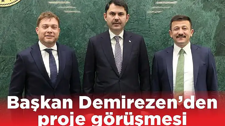 Başkan Demirezen'den proje görüşmesi
