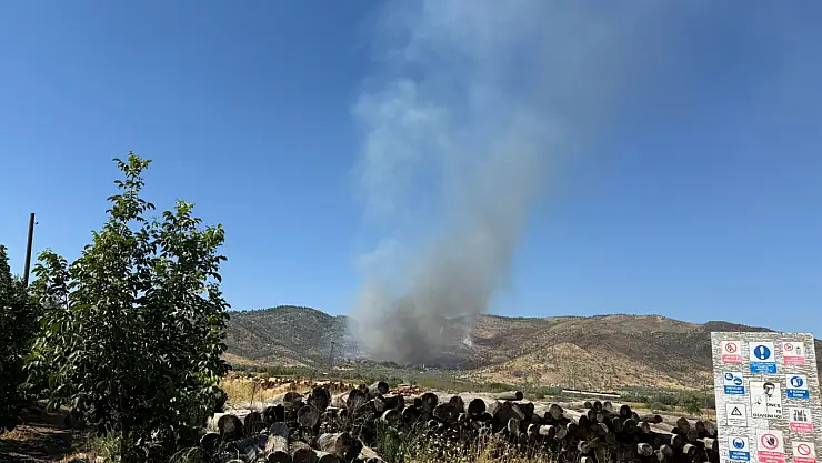 Bayındır Yanıyor! Yeşilova Mahallesinde Yangın
