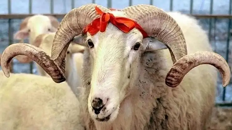 Bayram Tatili Kısaldı