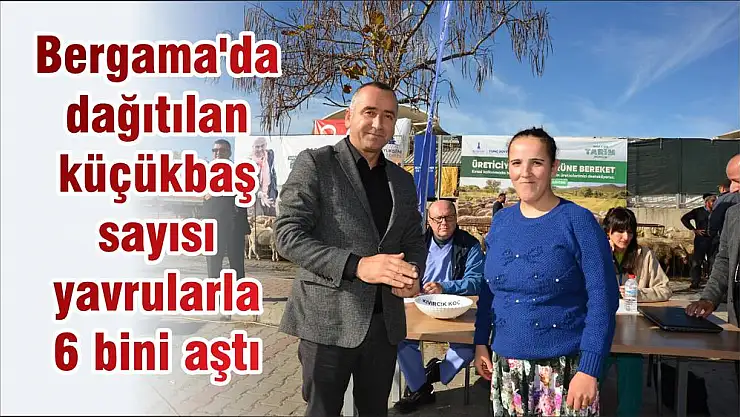 Bergama'da dağıtılan küçükbaş sayısı yavrularla 6 bini aştı