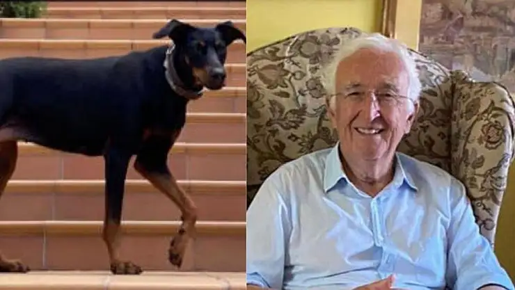 Berzeg’in köpeği Tina döndü