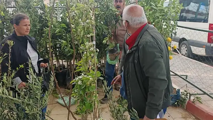 Beydağ Fidan Pazarı Denetimde
