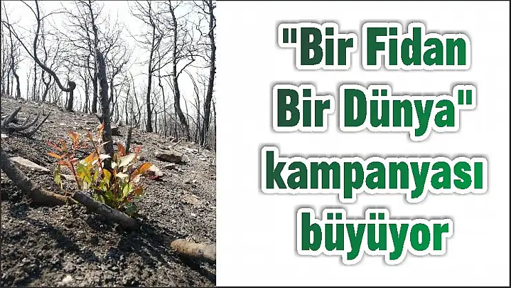 “Bir Fidan Bir Dünya” kampanyası büyüyor