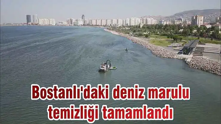 Bostanlı'daki deniz marulu temizliği tamamlandı