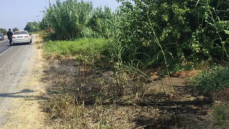 Bozdoğan-Nazilli Yolunda Çıkan Yangın, Duyarlı Vatandaşlar Sayesinde Büyümeden Söndürüldü