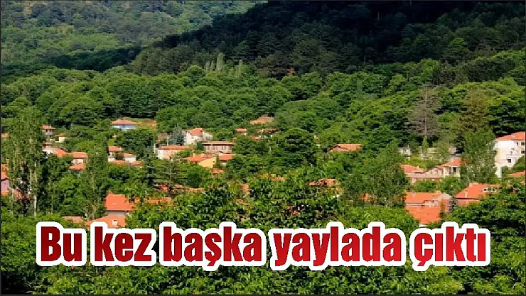 Bu kez başka yaylada çıktı