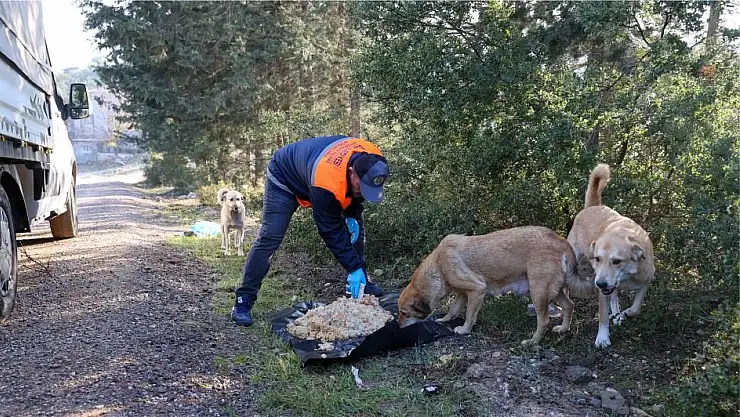 BUCA’DA ATIK YEMEKLER CAN DOSTLARINA GİDİYOR