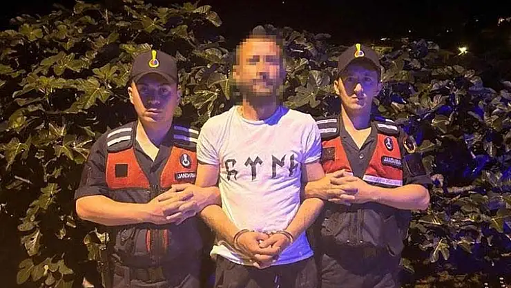 Bursa’da ormanı yakan şahıs: “canım istedi”
