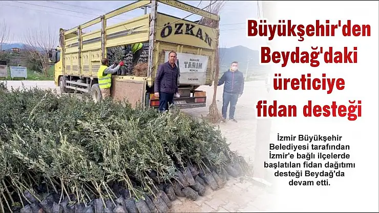 Büyükşehir'den Beydağ'daki üreticiye fidan desteği