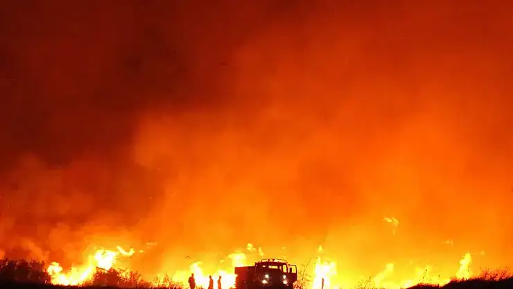 Çanakkale yangınının suçlusu kızılçam değil